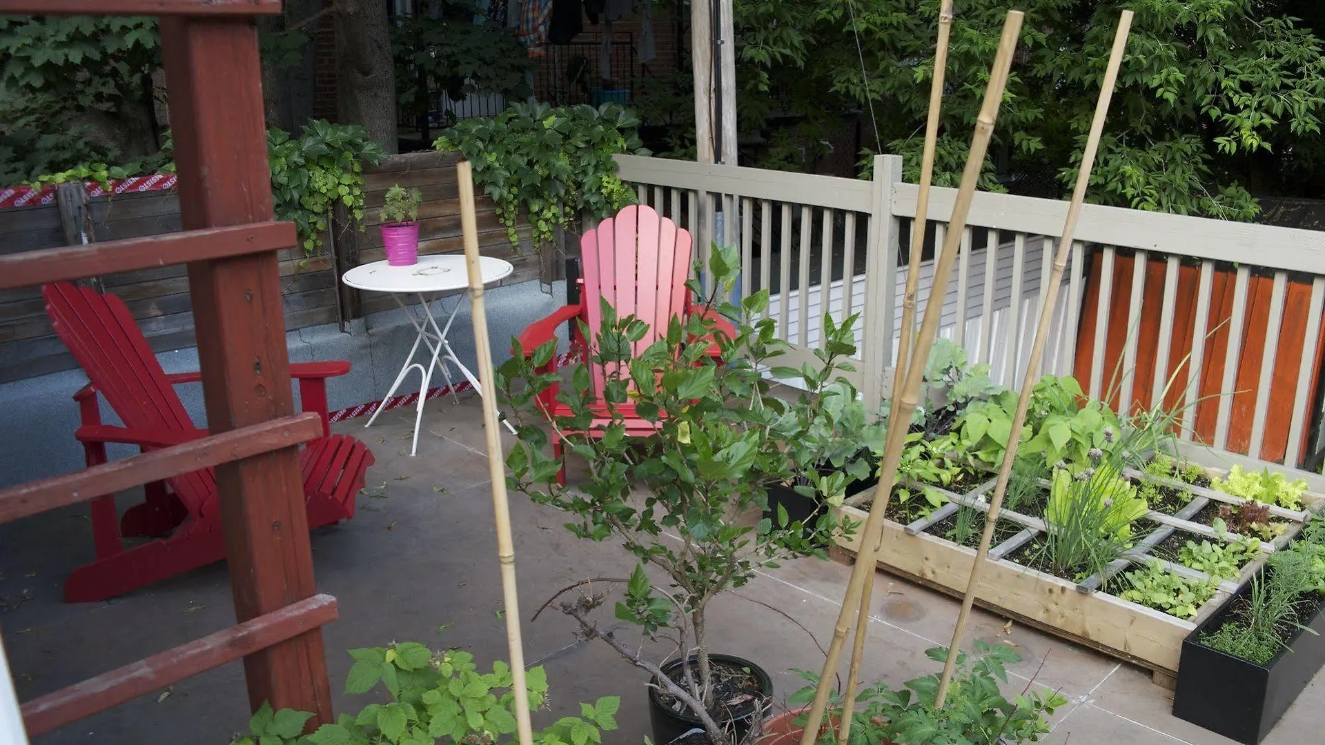 Bed And Breakfast Du Village Bbv Montréal Bed & Breakfast
